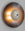 Finish:Bronze|||Luna 350 Wall Light x Nature Squared limited edition
