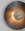 Finish:Bronze|||Luna 450 Wall Light x Nature Squared limited edition