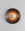 Finish:Bronze|||Luna 450 Wall Light x Nature Squared limited edition